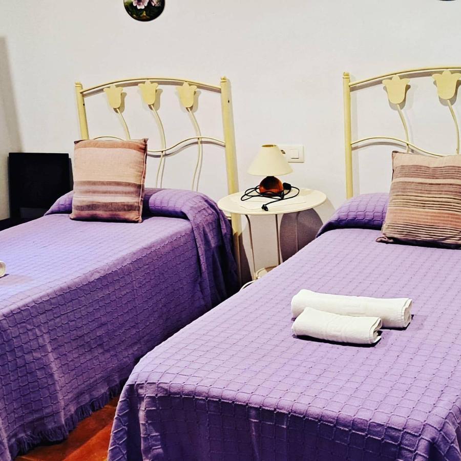 Hostal Rural El Balcon De アランヘ エクステリア 写真